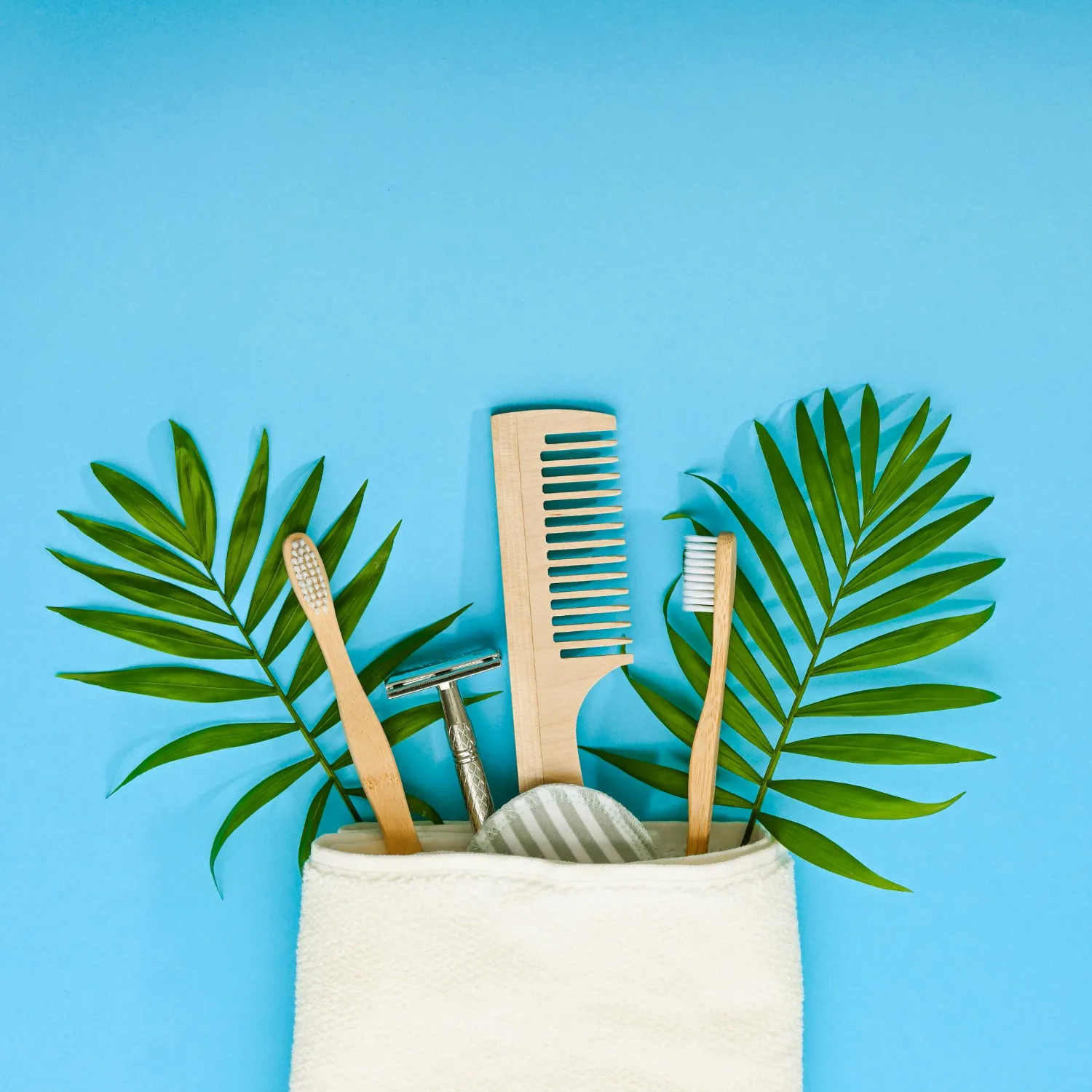 Premium Grooming Kit