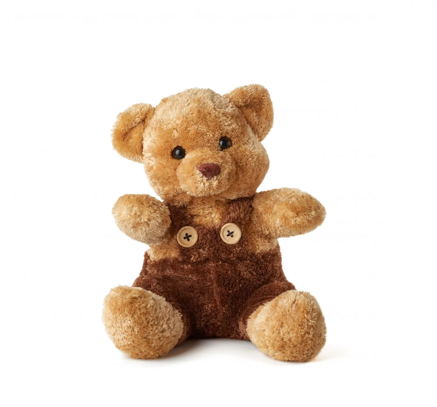 Cuddly Classic Bear
